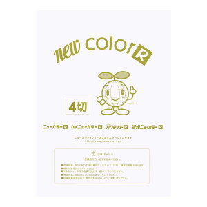 ��p�� �F��p�� �j���[�J���[R �l�c�� �c392×��542mm �����e�b�N GO4NCR-151