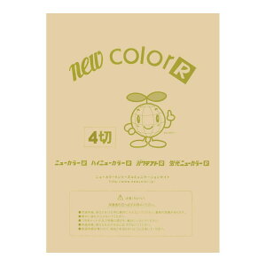 ��p�� �F��p�� �j���[�J���[R �l�c�� �c392×��542mm �����e�b�N GO4NCR-111