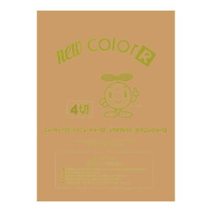 p Fp j[J[4100  ebN GO4NCR-109