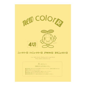 p Fp j[J[4100 N[ ebN GO4NCR-101