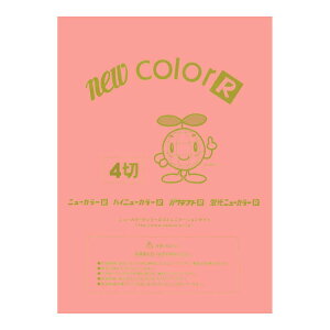 ��p�� �F��p�� �j���[�J���[R �l�c�� �c392×��542mm �����e�b�N GO4NCR-127