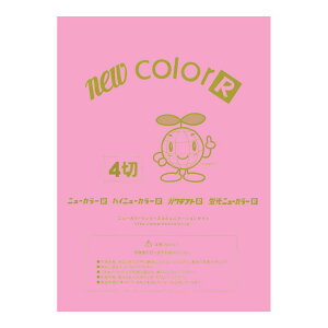 p Fp j[J[4100 Ƃ ebN GO4NCR-234