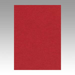 ��p�� �F��p�� �j���[�J���[4��100�� ���� �����e�b�N GO4NCR-550