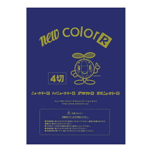 p Fp j[J[4100 񂶂傤 ebN GO4NCR-214