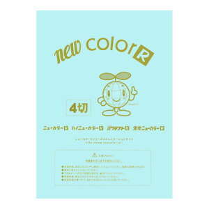 ��p�� �F��p�� �j���[�J���[R �l�c�� �c392×��542mm �����e�b�N GO4NCR-110
