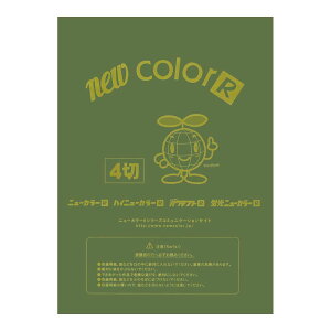 p Fp j[J[4100 I[u ebN GO4NCR-316