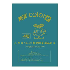 ��p�� �F��p�� �j���[�J���[R �l�c�� �c392×��542mm �����e�b�N GO4NCR-322