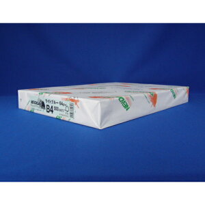 NEWt@CJ[ B4 500 kzIB NEWt@CJ[B4Cgu[