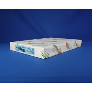 NEWt@CJ[ B4 500 kzIB NEWt@CJ[B4XJCu[