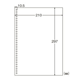 エコノミープライスマルチプリンタ帳票 A4判1面30穴 ヒサゴ BPE2049