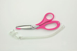 i-X͂ fBT| ؑn MS1-145P