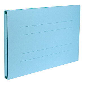 �̂с[��t�@�C���G�X���[�hA4E �u���[ �Z�L�Z�C AE-51FP-10