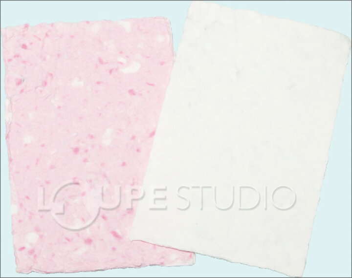 楽天市場 紙すきセット 枠 自作 体験 知育玩具 紙漉き おもちゃ 教育 手作り ペーパー 工作 キット 小学生 和紙 おりがみ ハガキ 牛乳パック 新聞 リサイクル エコ 室内 ルーペスタジオ