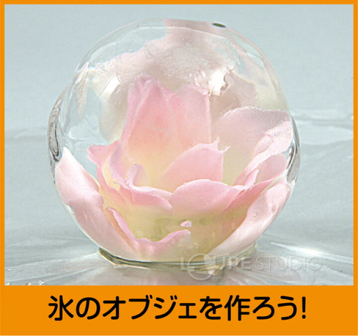 楽天市場 氷のふしぎ体験キット 氷 実験 化学 理科 科学 観察 小学生 学習 宿題 自由研究 ルーペスタジオ