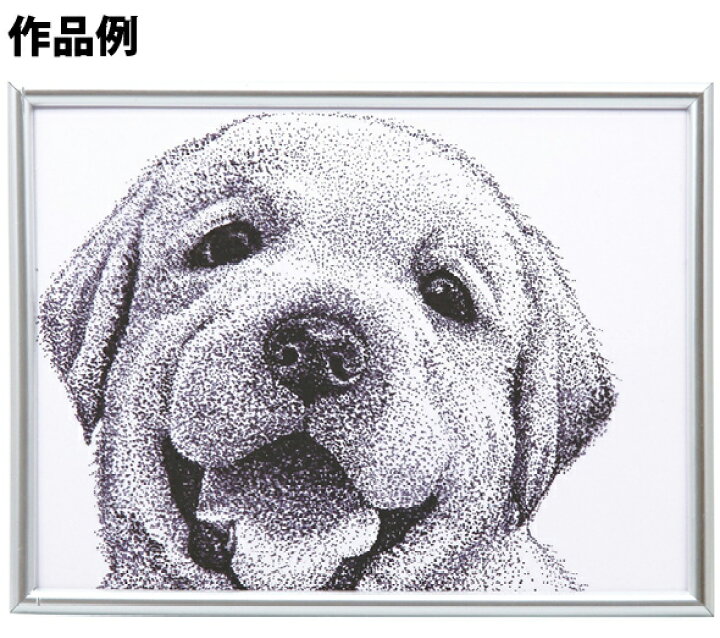 楽天市場 My Artcollection 点描 自由研究 小学生 中学生 工作 キット 工作キット 絵 女の子 男の子 図工 クラフト ホビー 画材 ルーペスタジオ