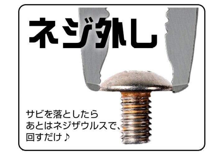 日本製 エンジニア ネジザウルスリキッド 錆び取り 錆取り サビ取り さびとり 錆落とし サビ落とし さび落とし 液体タイプ 100g 中性で安心安 