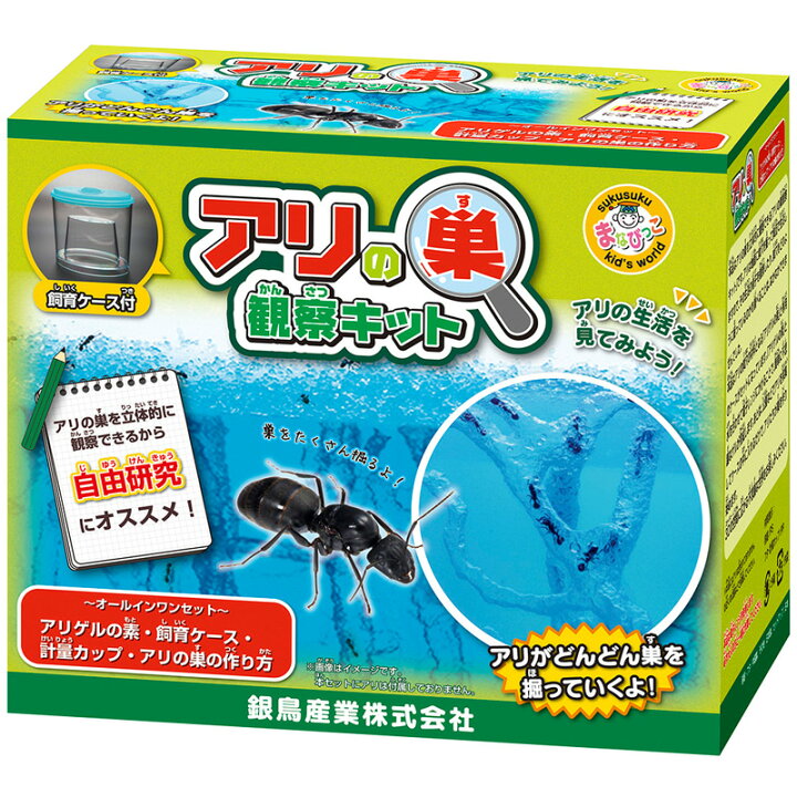 楽天市場 アリの巣 観察キット 子供 自由研究 小学生 キット あり 蟻 飼育セット 実験セット 観察 工作 男の子 昆虫 飼育観察セット 知育 生物 生き物 ルーペスタジオ