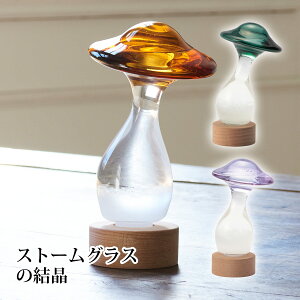 Xg[OX ̂ k CeA  G Mtg 킢  u IuWF A[g v[g a j 