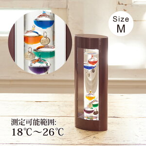 KXt[gxv MTCY k CeA  G Mtg 킢  u IuWF A[g v[g a j 