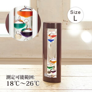 KXt[gxv LTCY k CeA  G Mtg 킢  u IuWF A[g v[g a j 