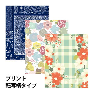 Kl@ NX R L ዾNX Kl Y pt[N[jONX 12×15cm 10Zbg lC N[i[  }XNp v[g