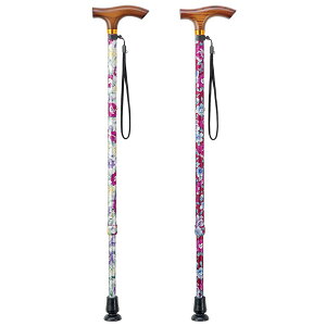  A~ Ȃ̑_II ԕXebL Lk  y  XebL s   