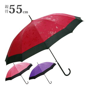 P fB[X l q ̎q wlp aP J  킢 Wv Y 12{P 55cm Jp