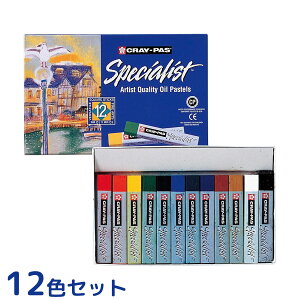 NpX NpXXyVXg 12FZbg  G CXg A[g Ɨp 痿gp p^` ʓh ` TNNpX