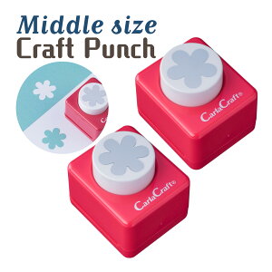 ~hTCYNtgp` ^   J[h nhCh 莆 t y[p[Ntg v[g Mtg 킢 bZ[WJ[h