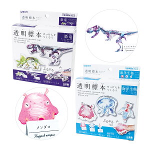 ċx R Lbg   W{ 낤 j̎q ̎q R ΌÂ q w wN ȒP 킢  }H H ̌ Cxg [NVbv DIY