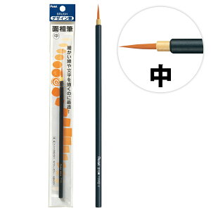 ؂Ă Pentel fUCM ʑM  pbN M G ӂ G̋pi  w }H p wZ  ċx R