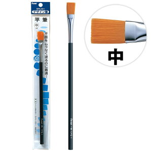 ؂Ă Pentel fUCM M  pbN M G ӂ G̋pi  w }H p wZ  ċx R