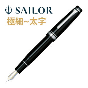 万年筆 セーラー SAILOR 高級 ペン 21金 プロフェッショナルギア 銀 日本製 記念品 お祝い プレゼント ギフト おしゃれ セーラー万年筆