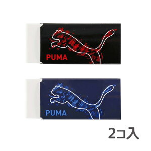 S 2Rg 悭 w  w q j̎q w MLp rOwK ׋ v[}  { PUMA v[}
