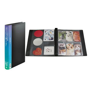 |Pbg[tp oC_[ ^  RNg [|Pbg NA|Pbg  pi ObY RNV  ʐ^ ۊ ۑ