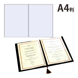 ܃|Pbg A4 CORRECT RNg  [ pi [   vg  ItBX