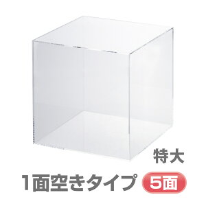 TCR^p^fCXvC  300mmp Orions hvX`bN