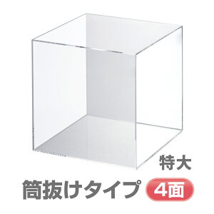 TCR^p^fCXvC^Cv  300mmp Orions hvX`bN