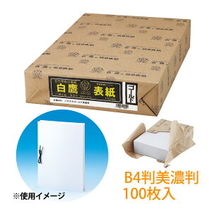  ڕ\ nN^J S[h B4 Z [100] Z  [ pi  { t@CO  ۊ   ی ItBX  wZ