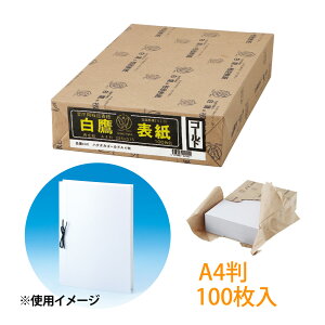  ڕ\ nN^J S[h A4 [100] Z  [ pi  { t@CO  ۊ   ی ItBX  wZ