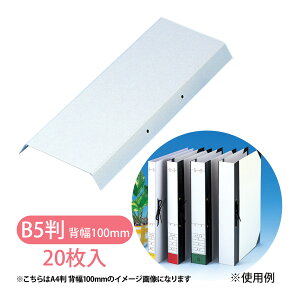 w\ B5 HS-10 ЂƂ^Cv 2 w100mm 20 Z  [ pi  { t@CO  ۊ   ی ItBX  wZ