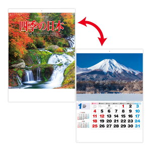 V{J_[ 2026N J_[ Ǌ| i lG̓{ ʐ^ i G  傫 Vv ₷  [