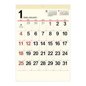 V{J_[ 2026N J_[ Ǌ| N[E\ 傫  Vv ₷  \ Ƒ XPW[  [