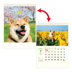 V{J_[ 2026N J_[ Ǌ|  Ǌ| Č܂Ƃ Č ܂ 킢 ʐ^ 傫  ₵  [