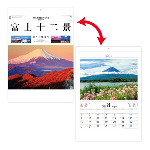 V{J_[ 2026N J_[ Ǌ| i xm\i ʐ^ 傫  Vv ₷  \ Ƒ XPW[  [