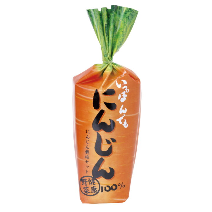 楽天市場 1本でも にんじん 家庭菜園 野菜 栽培 ガーデニング キッズ 子供 小学生 理科教材 学校 教材 自由研究 宿題 ルーペスタジオ