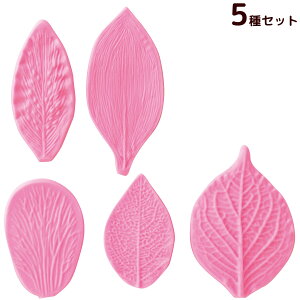 ˂ Sy H }H p R t^5Zbg ċx j̎q ̎q w qǂ wZ 