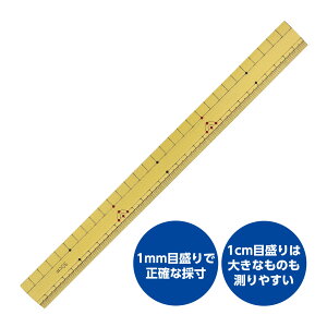 ��K ���傤�� �|�� ���ڐ� �|�� ���̂��� �H�� �}�H ���w�� �w�Z���� ����