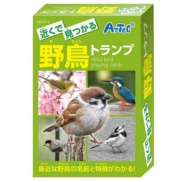 楽天市場 鳥 おもちゃ 近くで見つかる野鳥 名前 学習 トランプ カードゲーム 幼児 子供 女の子 男の子 室内 遊び ルーペスタジオ