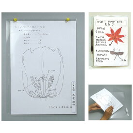 透明掲示ホルダー A4 掲示用品 学校 教材 作品 展示 クリア ホルダー 図工 工作 クラフト 自由研究